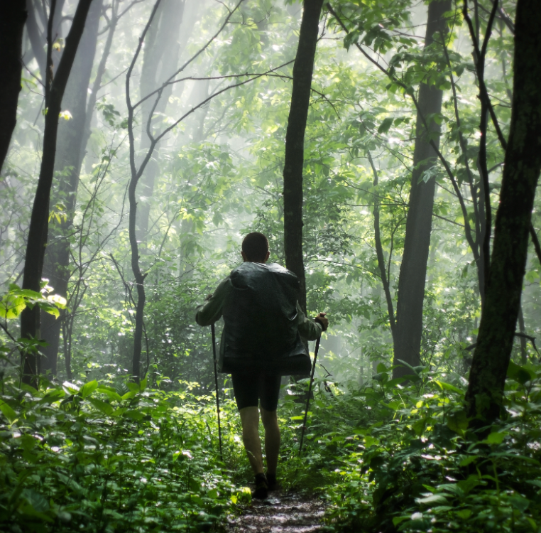 What to Pack If You're Stranded in the Wilderness: 3 Survival Essentials
