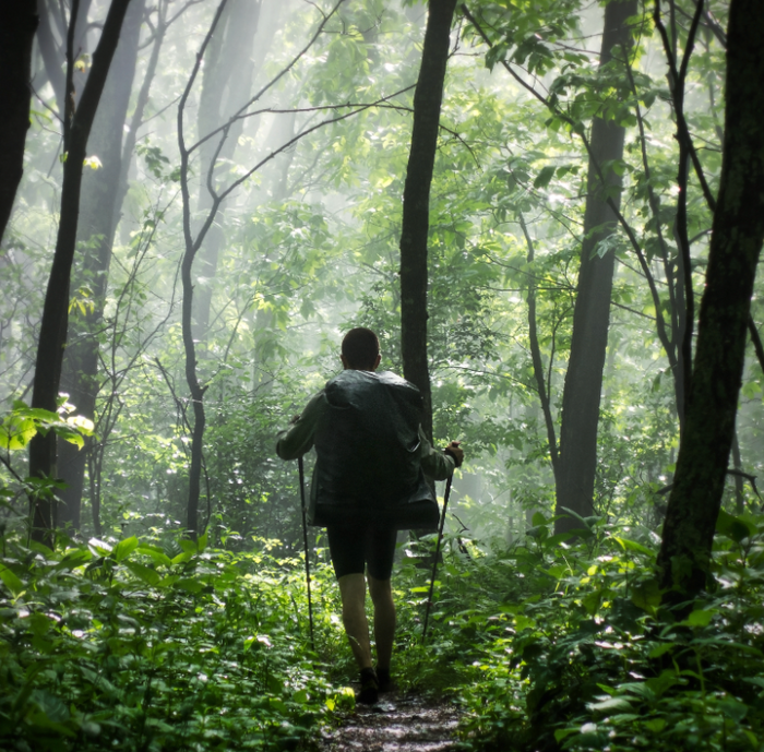 What to Pack If You're Stranded in the Wilderness: 3 Survival Essentials