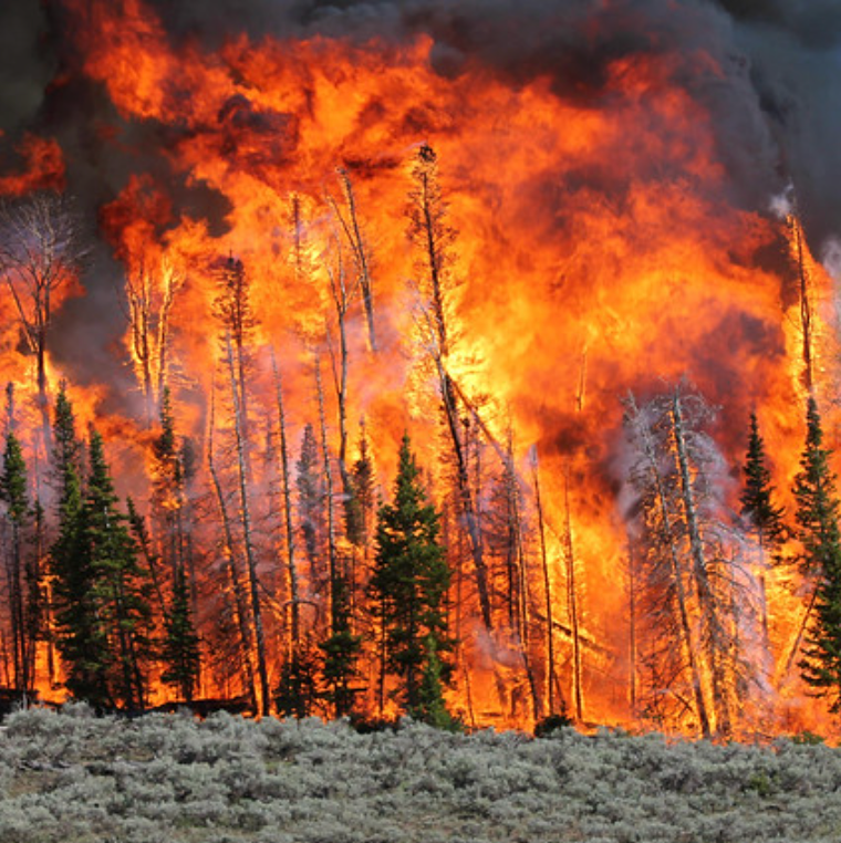 Natural Disasters Are Increasing – Will Your Family Be Safe?