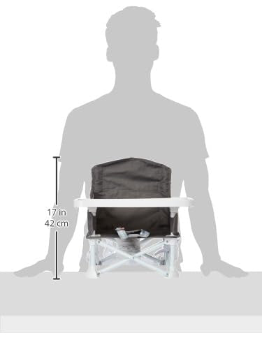 2-in-1 Portable Travel Booster Seat & Activity Chair, Bonus Kit Includes, Oversized Removable Tray with Cup Holder, Gray
