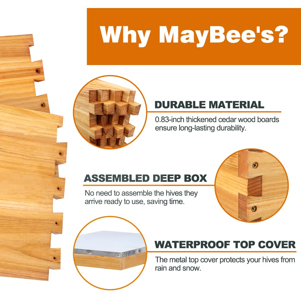 10-Frame Beehive Starter Kit with Wax-Coated Bee Boxes, Frames & Beekeeping Tools – Complete Beekeeping Supplies Kit with Veil, Smoker, and Hive Tool for Beginners