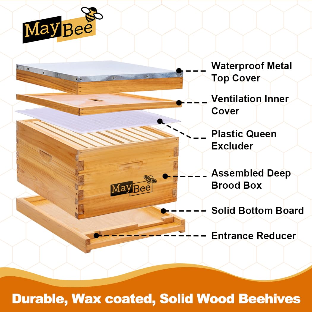 10-Frame Beehive Starter Kit with Wax-Coated Bee Boxes, Frames & Beekeeping Tools – Complete Beekeeping Supplies Kit with Veil, Smoker, and Hive Tool for Beginners