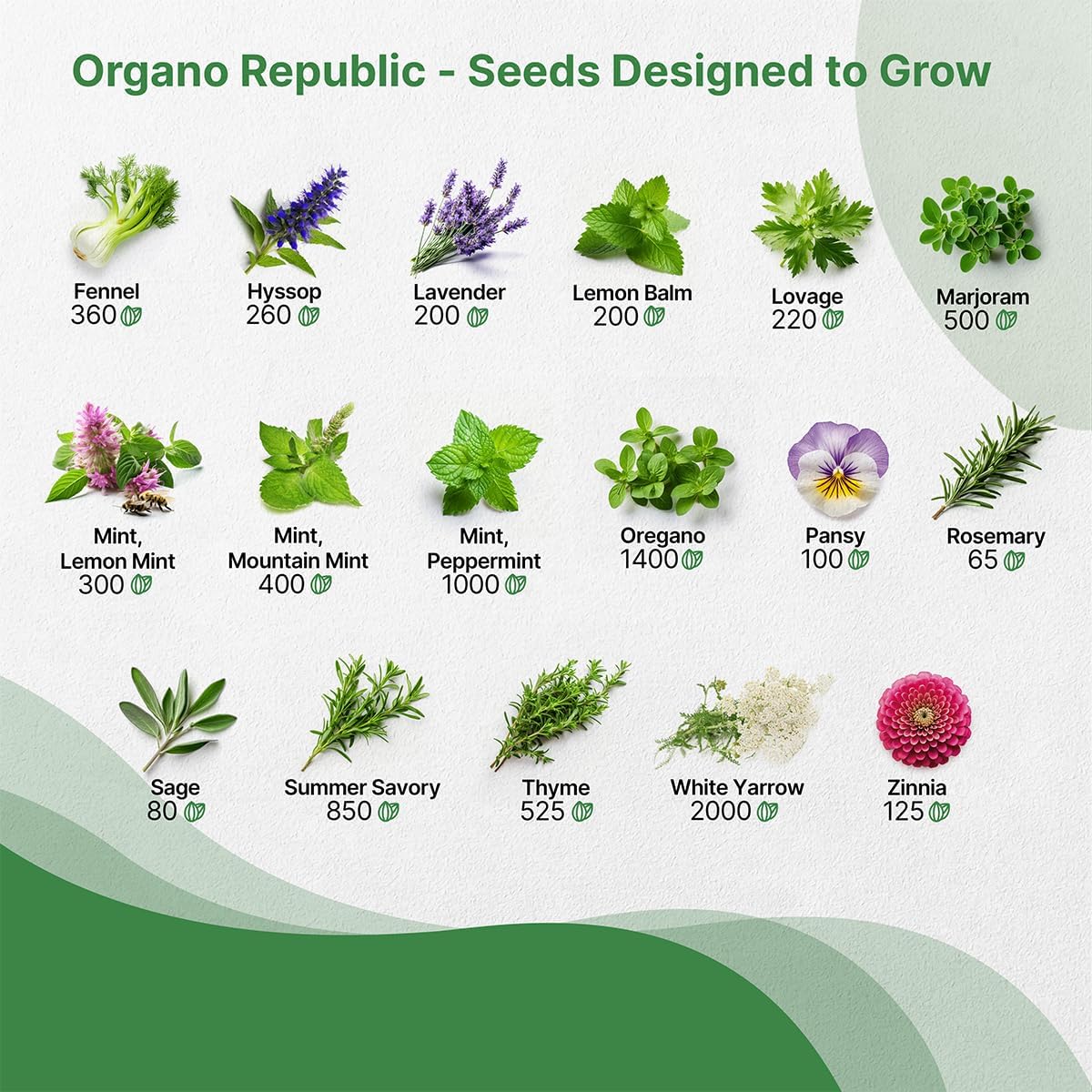 35 Medicinal & Tea Herb Seed Variety Pack – 16,335+ Non-GMO Heirloom Seeds for Indoor & Outdoor Gardening | Includes Anise, Bergamot, Borage, Cilantro, Chamomile, Dandelion, Rosemary & More