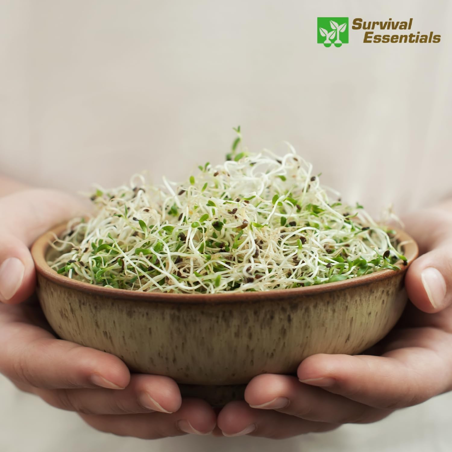 Ultimate Heirloom Seed Vault – 144 Non-GMO Heirloom Seed Varieties in Airtight Ammo Can, 23,000 Survival Seeds for Vegetables, Fruits, & Herbs – Premium Emergency & Prepper Supplies