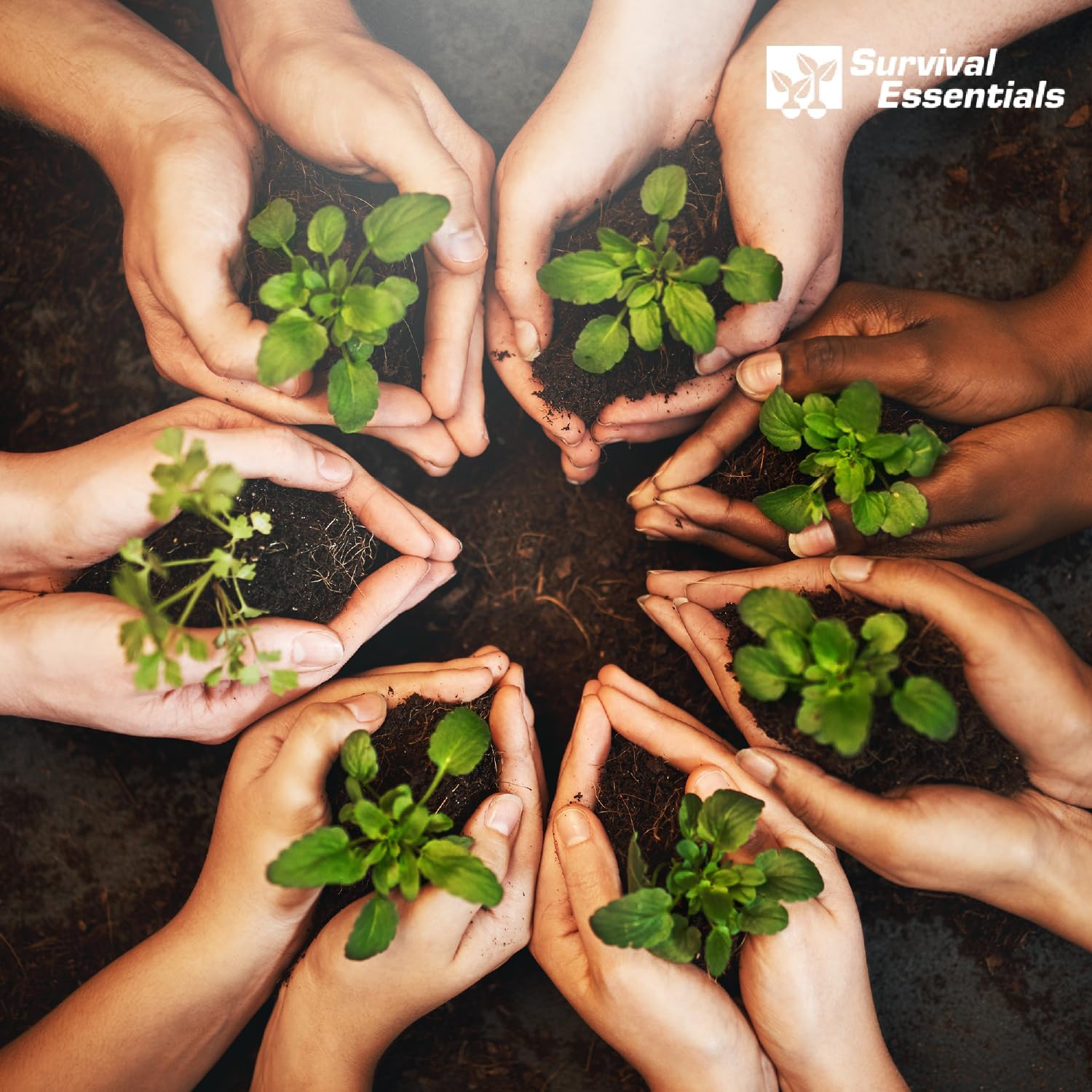 Ultimate Heirloom Seed Vault – 144 Non-GMO Heirloom Seed Varieties in Airtight Ammo Can, 23,000 Survival Seeds for Vegetables, Fruits, & Herbs – Premium Emergency & Prepper Supplies