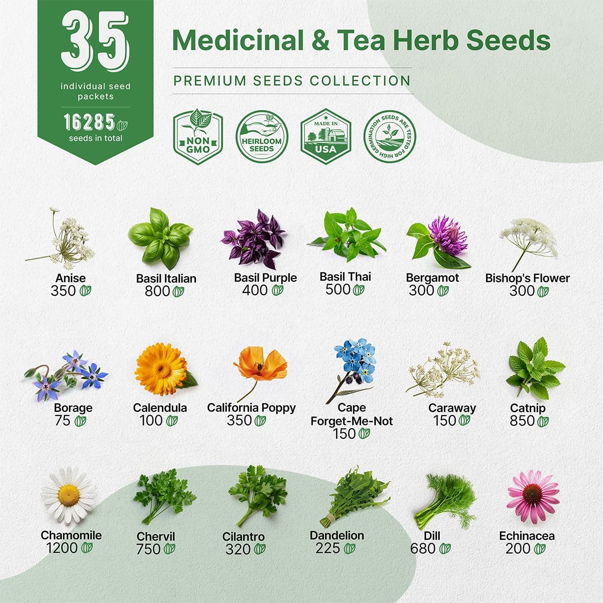 35 Medicinal & Tea Herb Seed Variety Pack – 16,335+ Non-GMO Heirloom Seeds for Indoor & Outdoor Gardening | Includes Anise, Bergamot, Borage, Cilantro, Chamomile, Dandelion, Rosemary & More