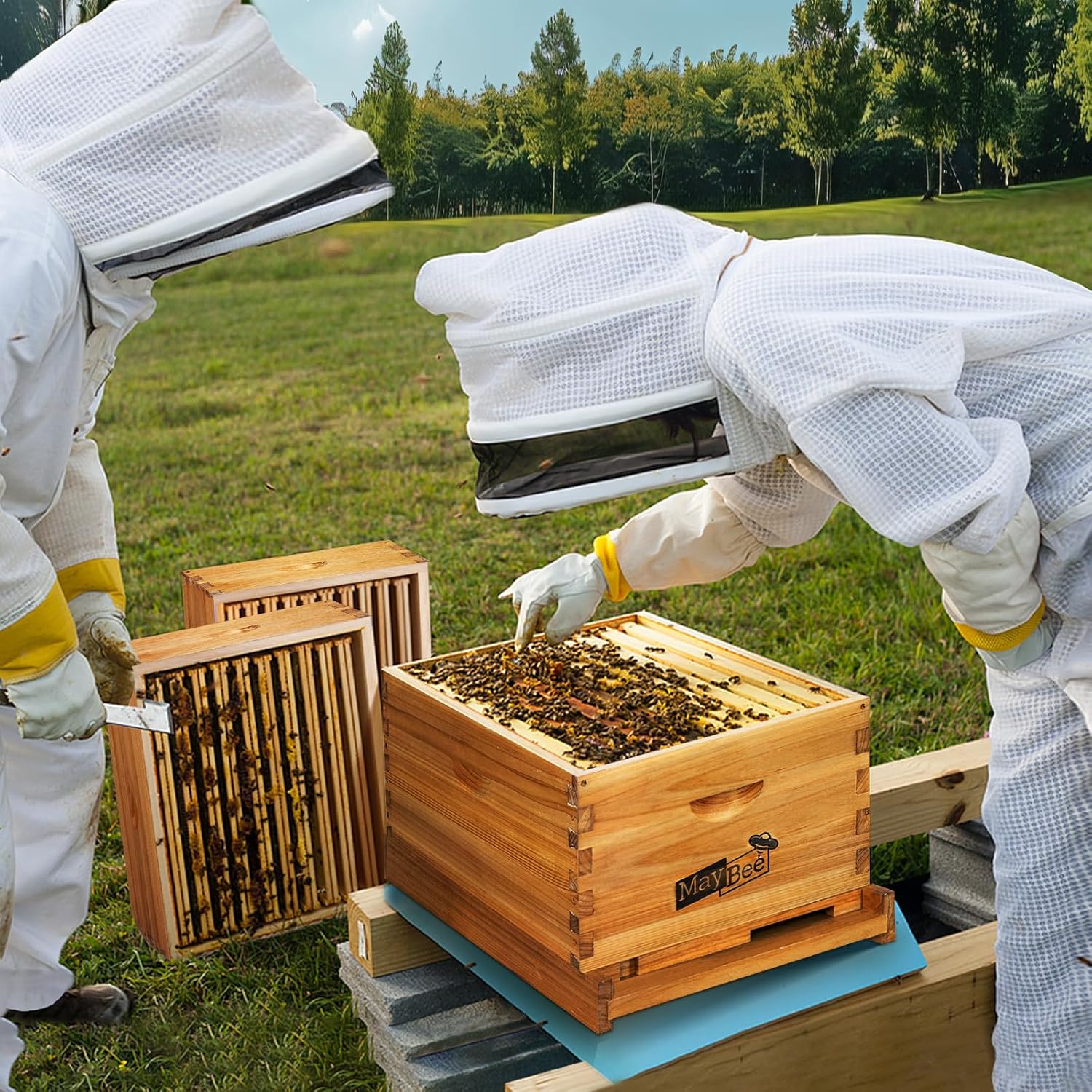 10-Frame Beehive Starter Kit with Wax-Coated Bee Boxes, Frames & Beekeeping Tools – Complete Beekeeping Supplies Kit with Veil, Smoker, and Hive Tool for Beginners