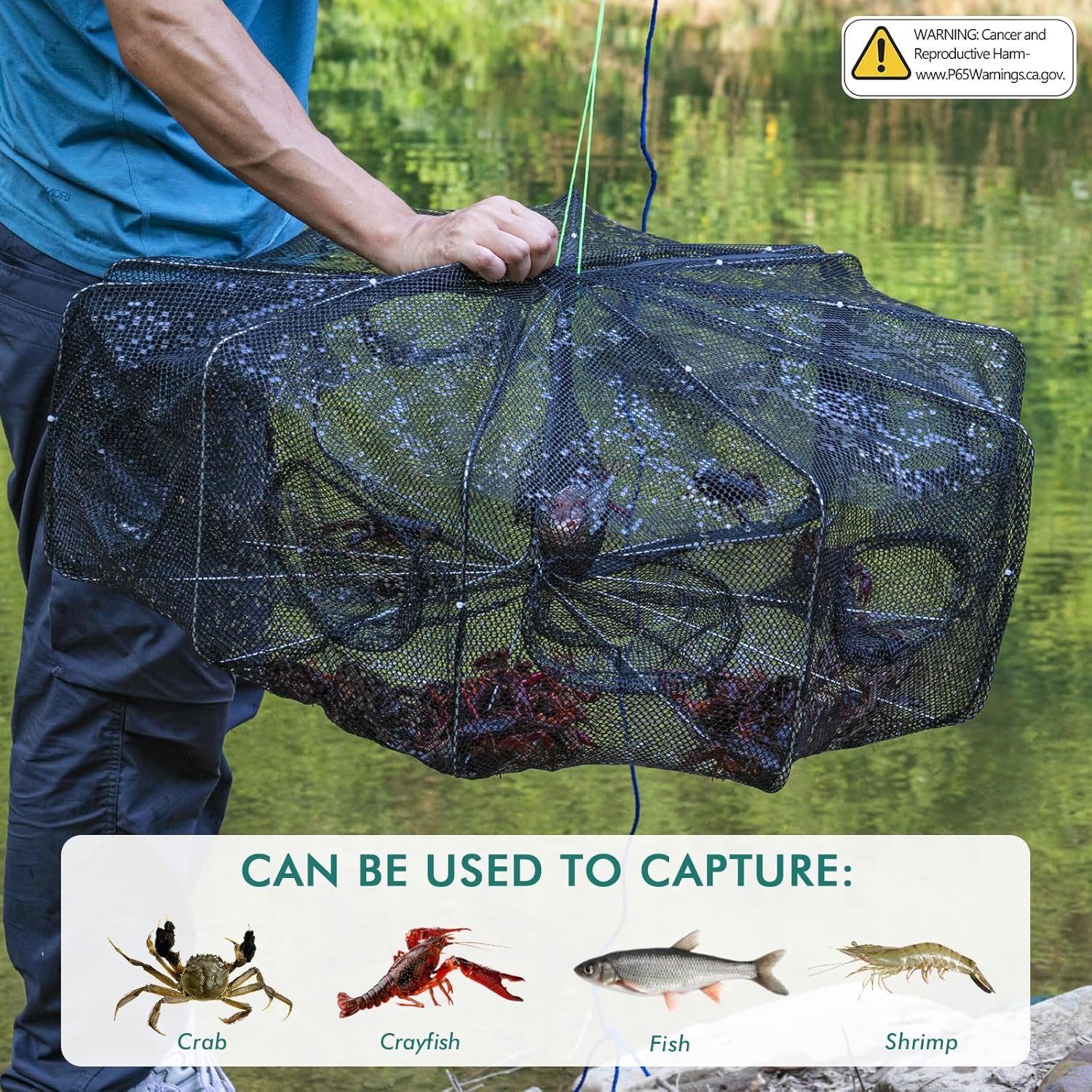 2PCS Large Fishing Bait Traps - 10-Hole Crab Nets with Rope for Minnow, Crawfish, Shrimp, and Crawdad | Durable Foldable Fish Traps for Bait Fishing