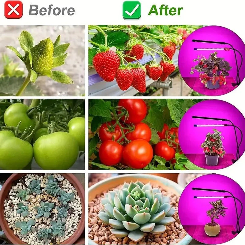 USB LED Grow Light for Indoor Plants – Full Spectrum with 10 Dimmable Levels & Timer (3H/9H/12H) | Hydroponic Greenhouse Grow Lamp