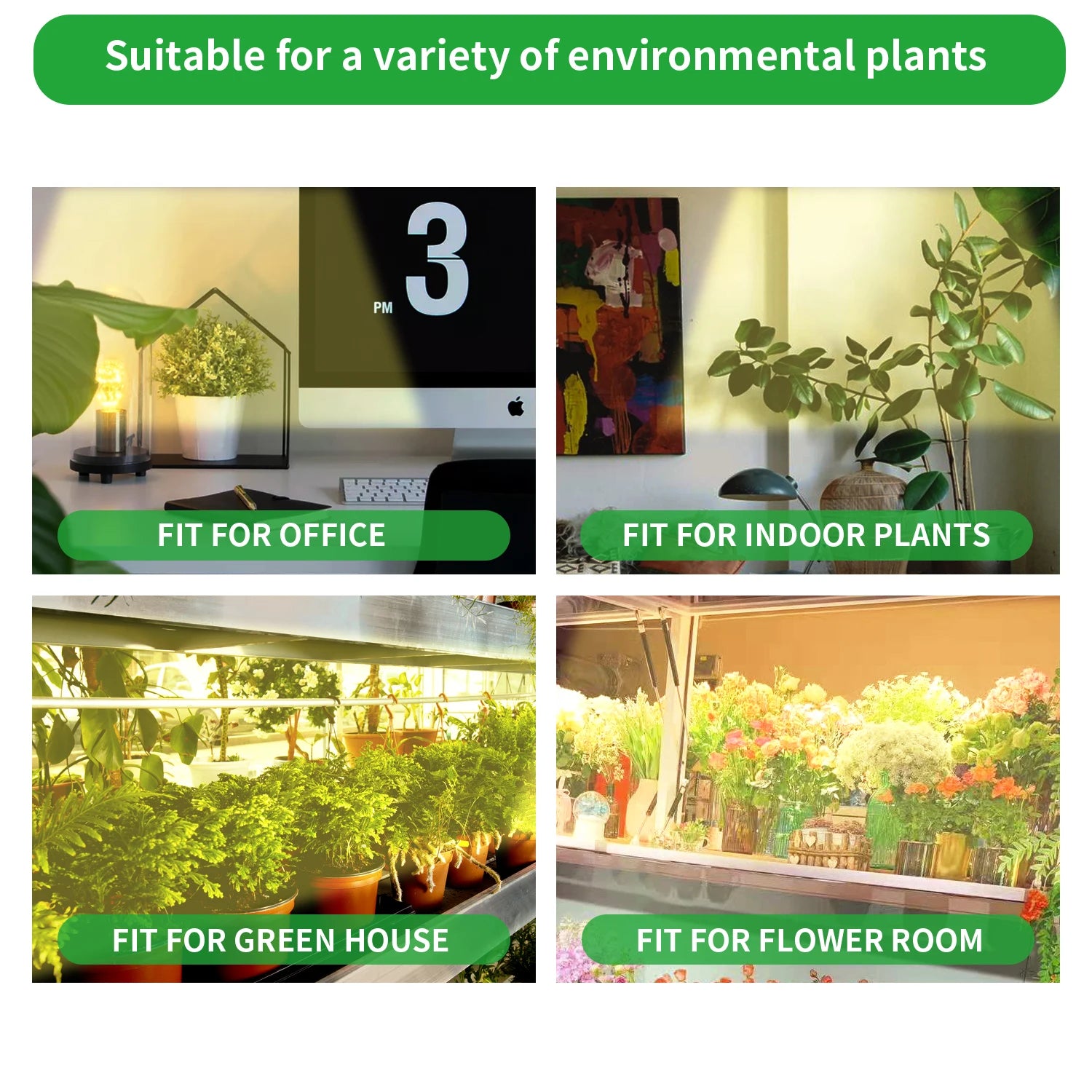 USB LED Grow Light for Indoor Plants – Full Spectrum with 10 Dimmable Levels & Timer (3H/9H/12H) | Hydroponic Greenhouse Grow Lamp