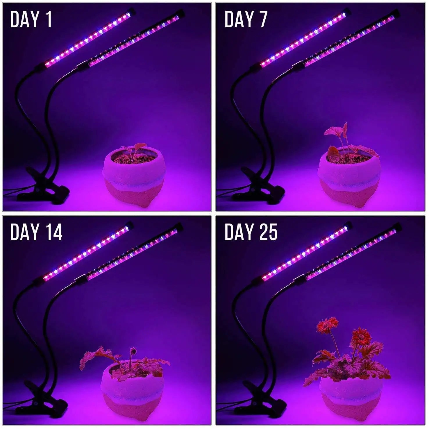 USB LED Grow Light for Indoor Plants – Full Spectrum with 10 Dimmable Levels & Timer (3H/9H/12H) | Hydroponic Greenhouse Grow Lamp