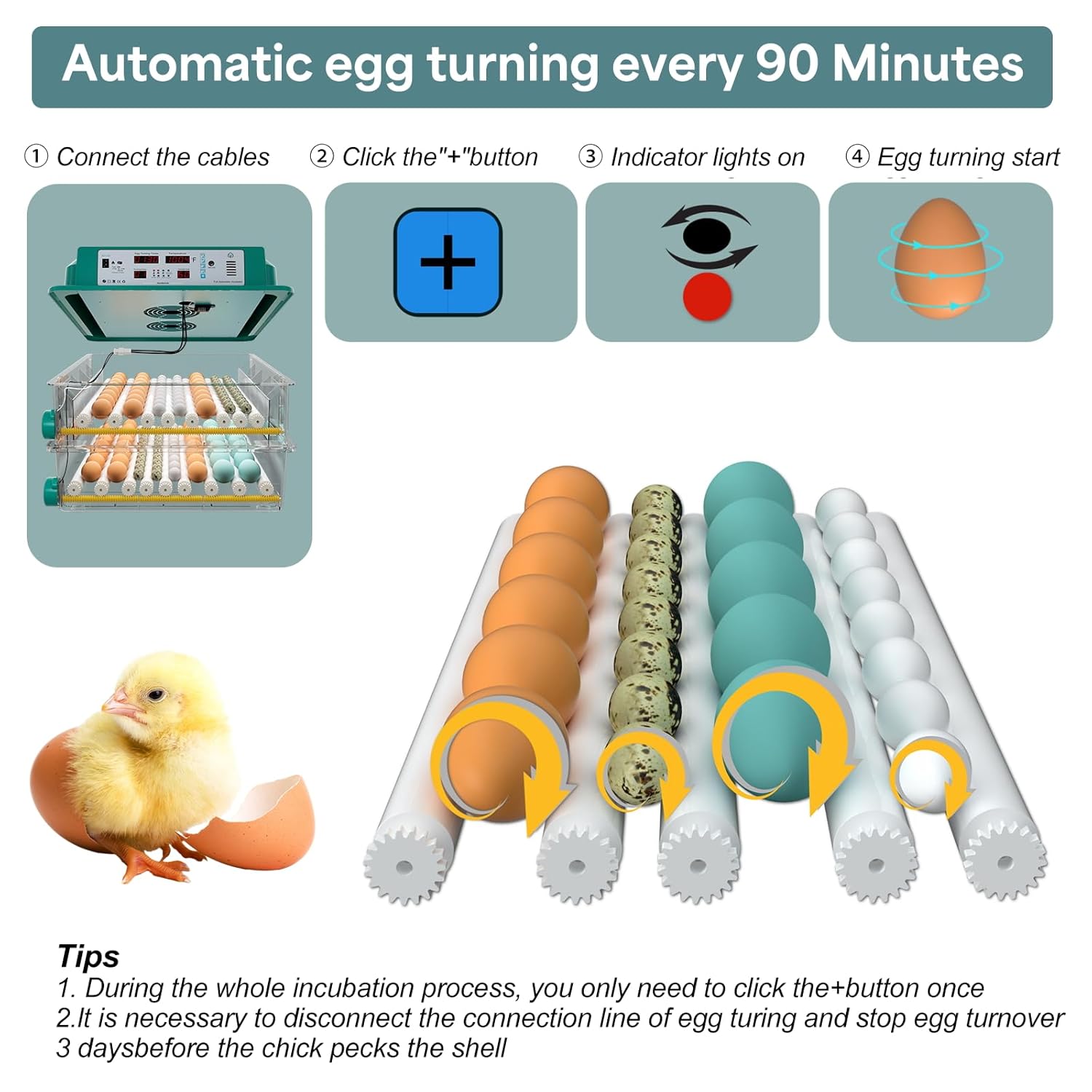 120-Egg Automatic Incubator with Digital Temperature & Humidity Control – Auto Egg Turning, Built-in Egg Candler, and Incubation Day Tracker for Chicken, Duck, and Quail Eggs