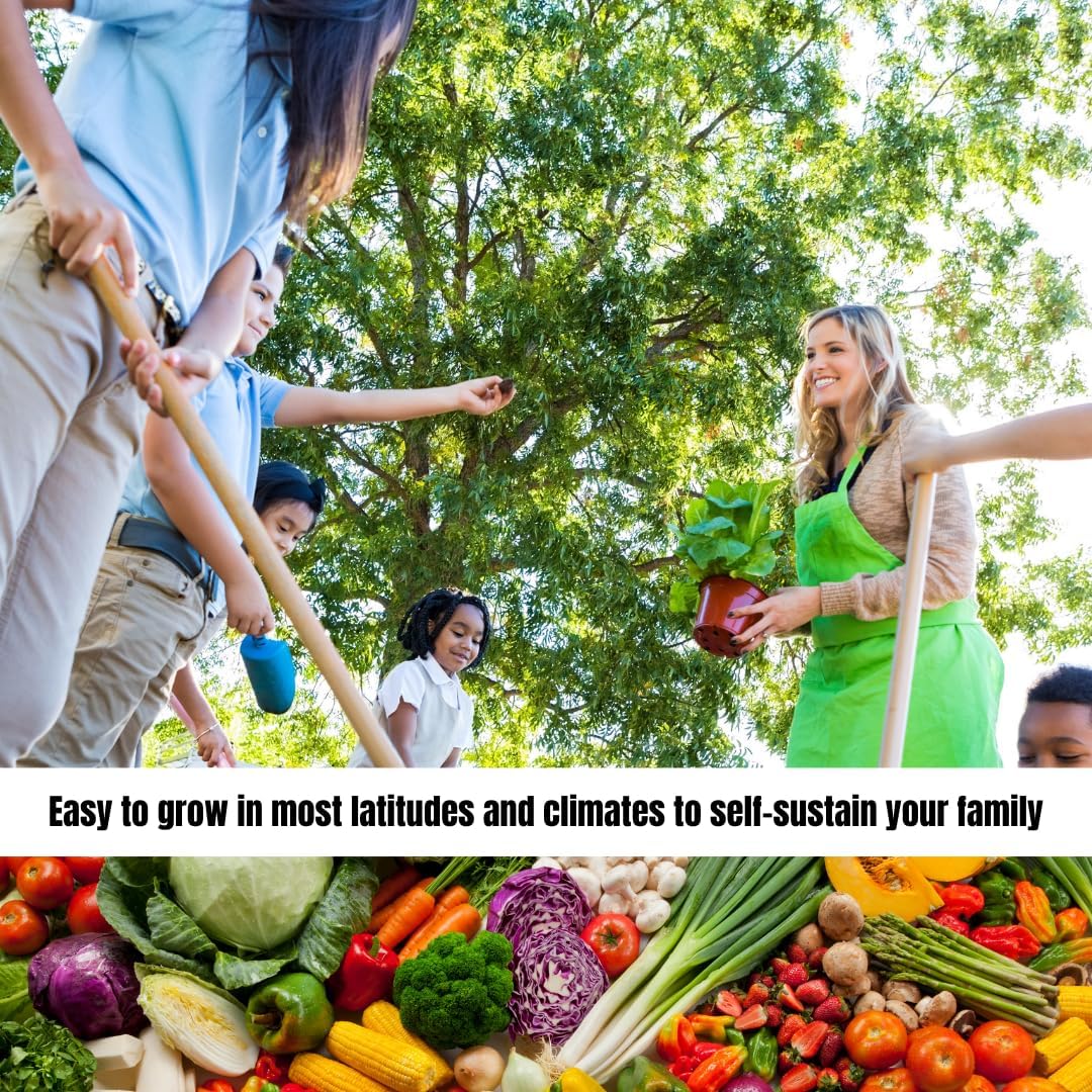 105 Variety Survival Garden Heirloom Seed Vault – Non-GMO, Non-Hybrid, Open-Pollinated Herb, Fruit & Vegetable Seeds for Home Gardening – Includes Seed Storage Organizer for Long-Term Preservation