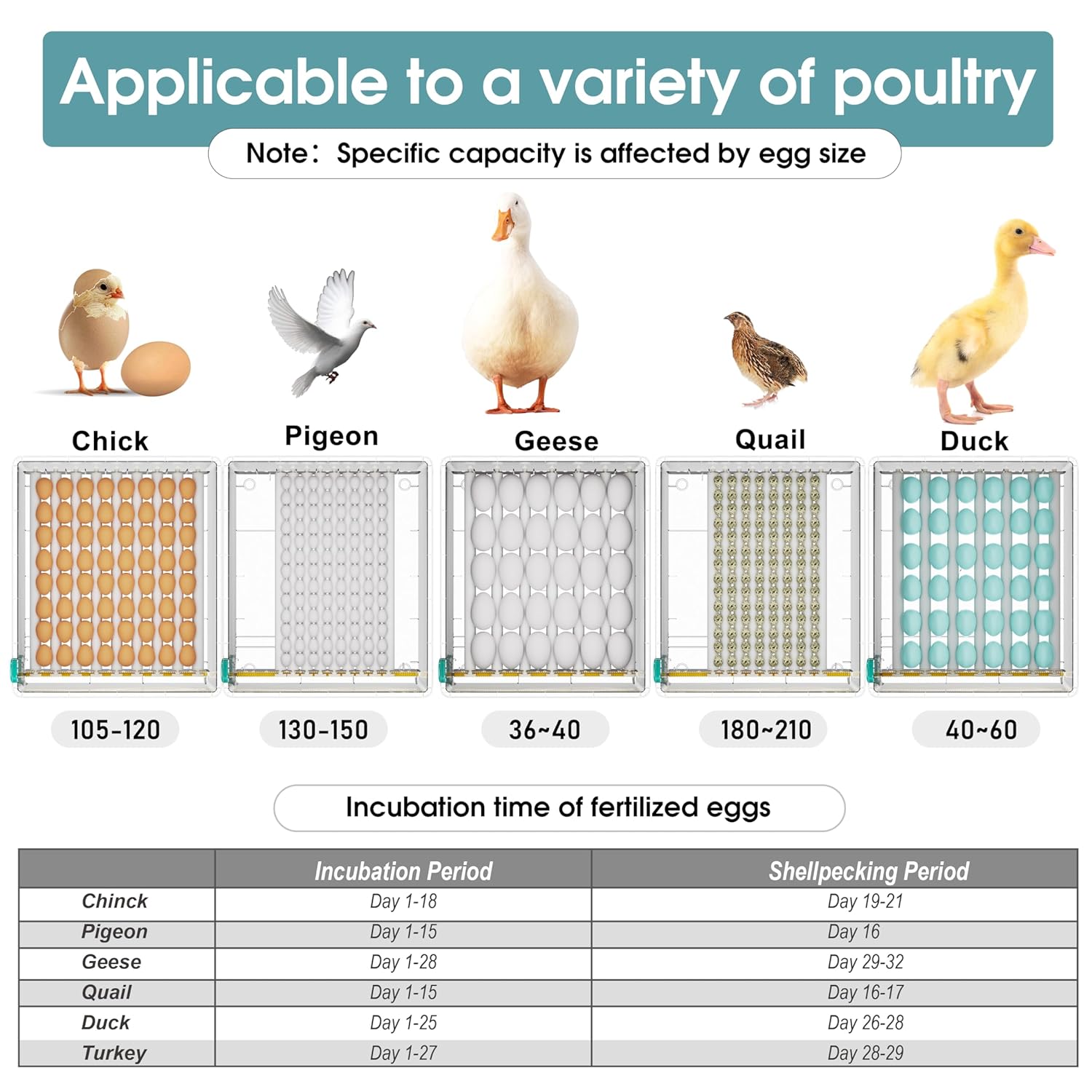 120-Egg Automatic Incubator with Digital Temperature & Humidity Control – Auto Egg Turning, Built-in Egg Candler, and Incubation Day Tracker for Chicken, Duck, and Quail Eggs