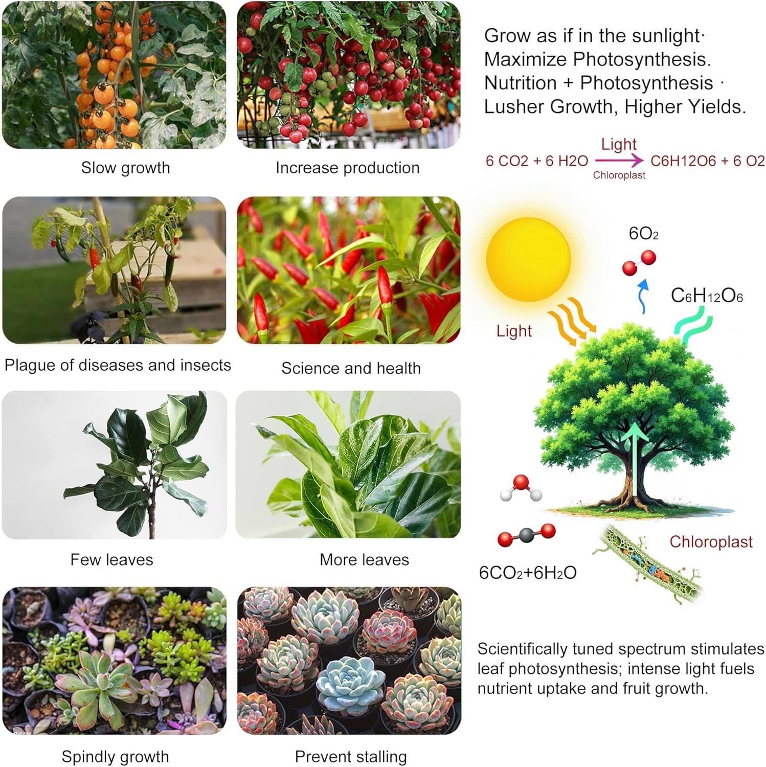 2-Pack 200W LED Grow Light Panels – Full Spectrum Indoor Plant Grow Lights with White, Blue, Red, UV & IR LEDs for 4×4 ft Grow Tent, Seedlings, Veg & Bloom Hydroponic Growing