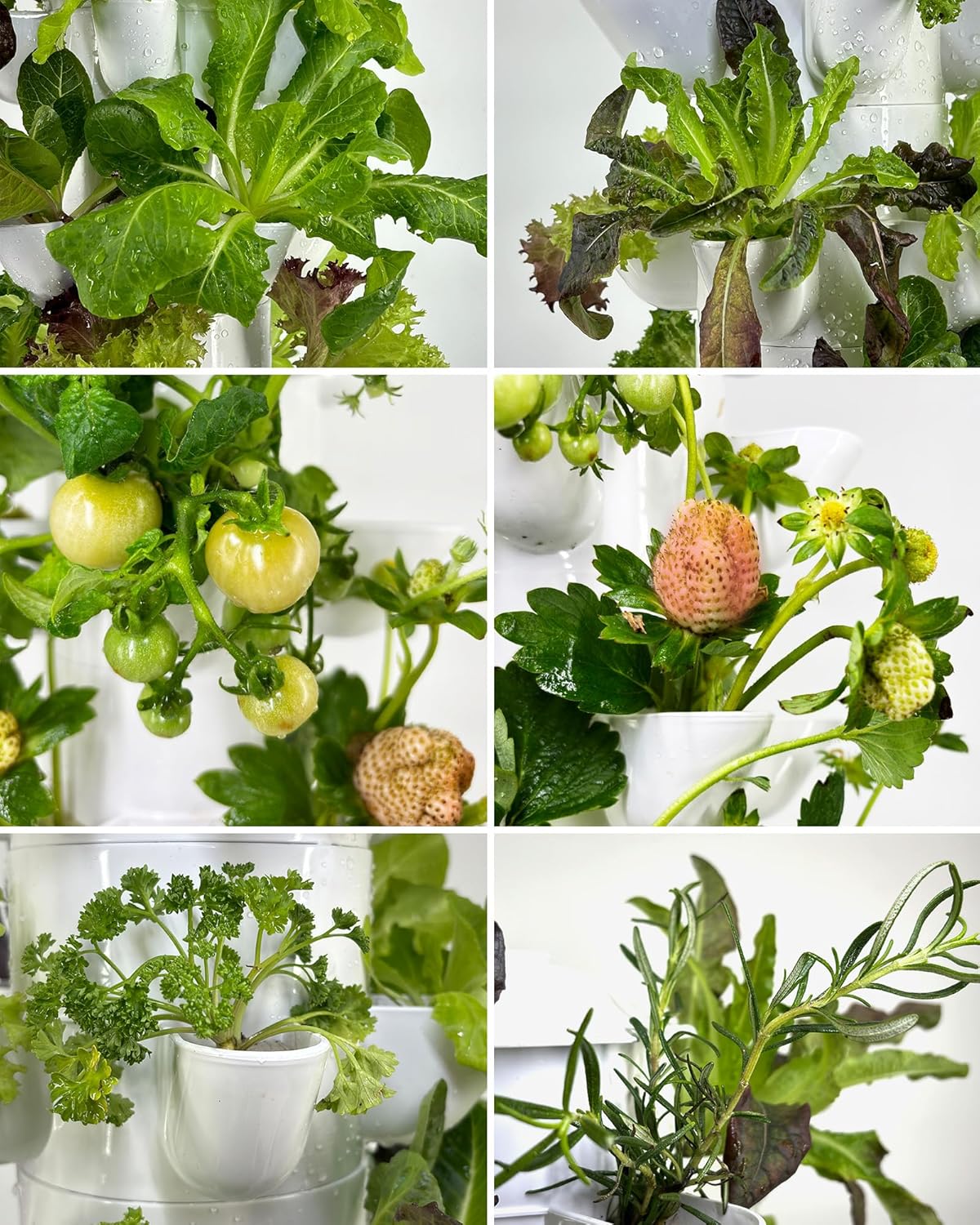 Hydroponic Tower Garden System – 45-Pod Vertical Indoor Planter with Water Circulation & Auto Timer for Growing Herbs, Vegetables & Houseplants – Ideal for Home, Patio, or Greenhouse