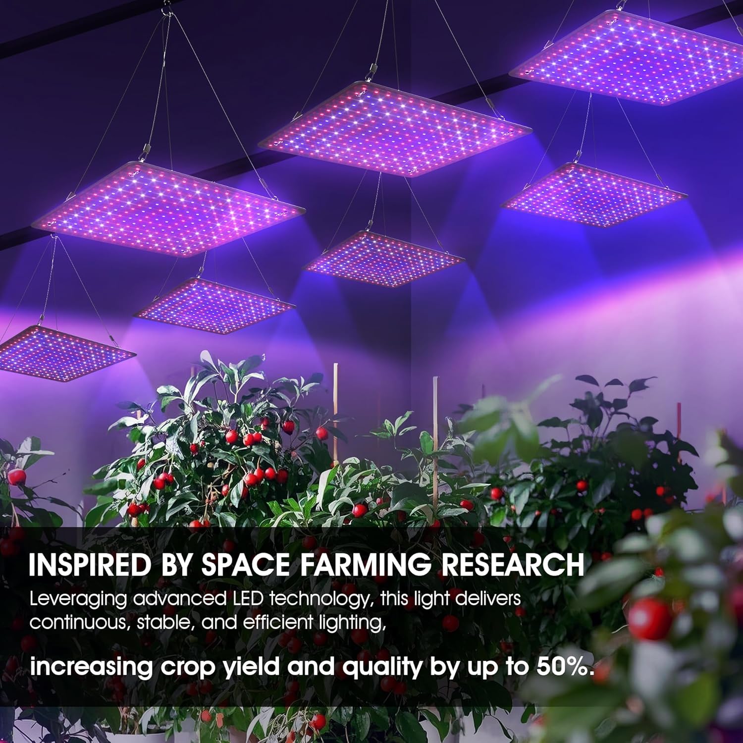 2-Pack 200W LED Grow Light Panels – Full Spectrum Indoor Plant Grow Lights with White, Blue, Red, UV & IR LEDs for 4×4 ft Grow Tent, Seedlings, Veg & Bloom Hydroponic Growing