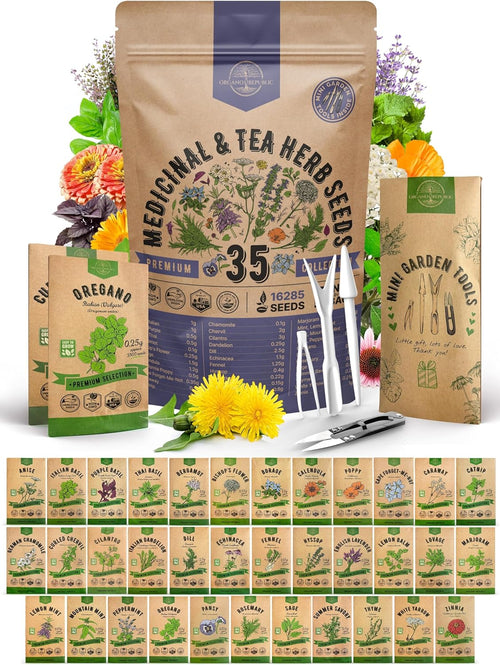 35 Medicinal & Tea Herb Seed Variety Pack – 16,335+ Non-GMO Heirloom Seeds for Indoor & Outdoor Gardening | Includes Anise, Bergamot, Borage, Cilantro, Chamomile, Dandelion, Rosemary & More