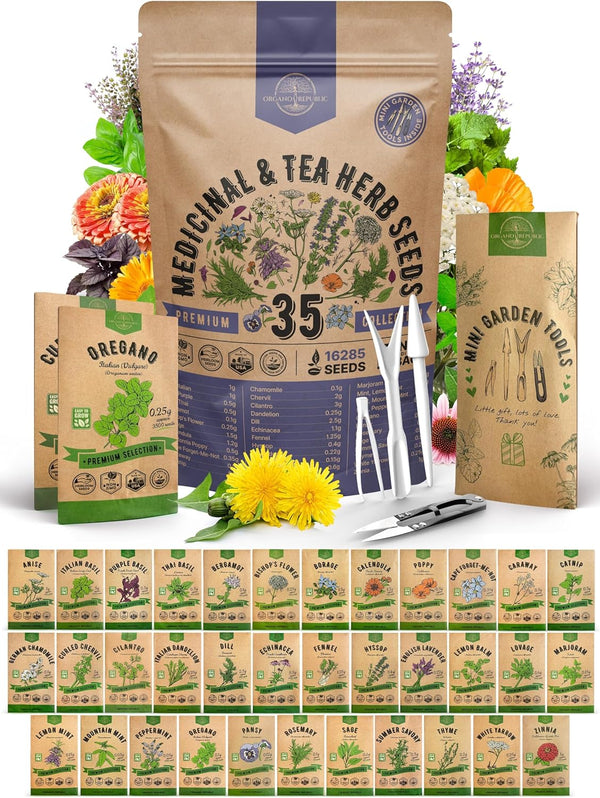 35 Medicinal & Tea Herb Seed Variety Pack – 16,335+ Non-GMO Heirloom Seeds for Indoor & Outdoor Gardening | Includes Anise, Bergamot, Borage, Cilantro, Chamomile, Dandelion, Rosemary & More