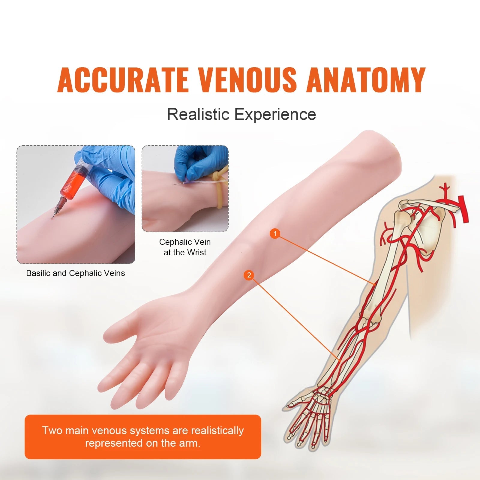 Phlebotomy Practice Kit – Complete IV Venipuncture Training Kit with Carrying Bag for Students & Interns